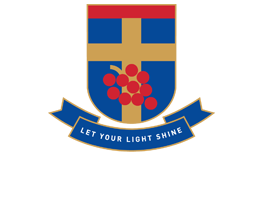 Pedare logo new